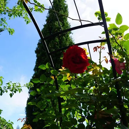 아파트 Portopiccolo With Garden And Included