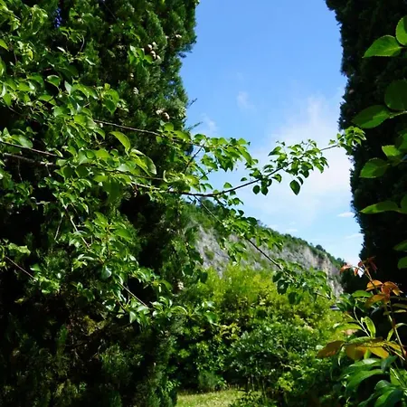 Apartmán Portopiccolo With Garden And Included