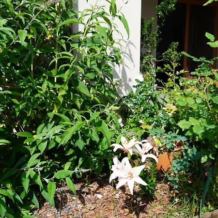 Portopiccolo With Garden And Included Daire